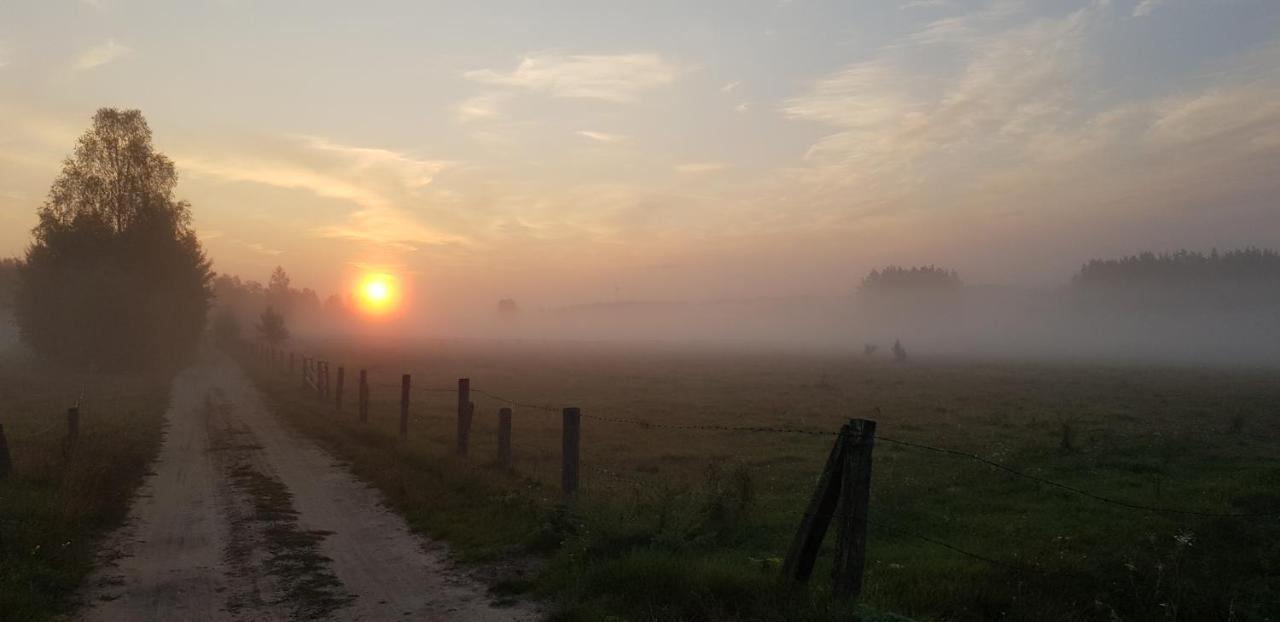 Zdalnie z Lasu - Siedlisko w Puszczy Białowieskiej Narewka Zewnętrze zdjęcie