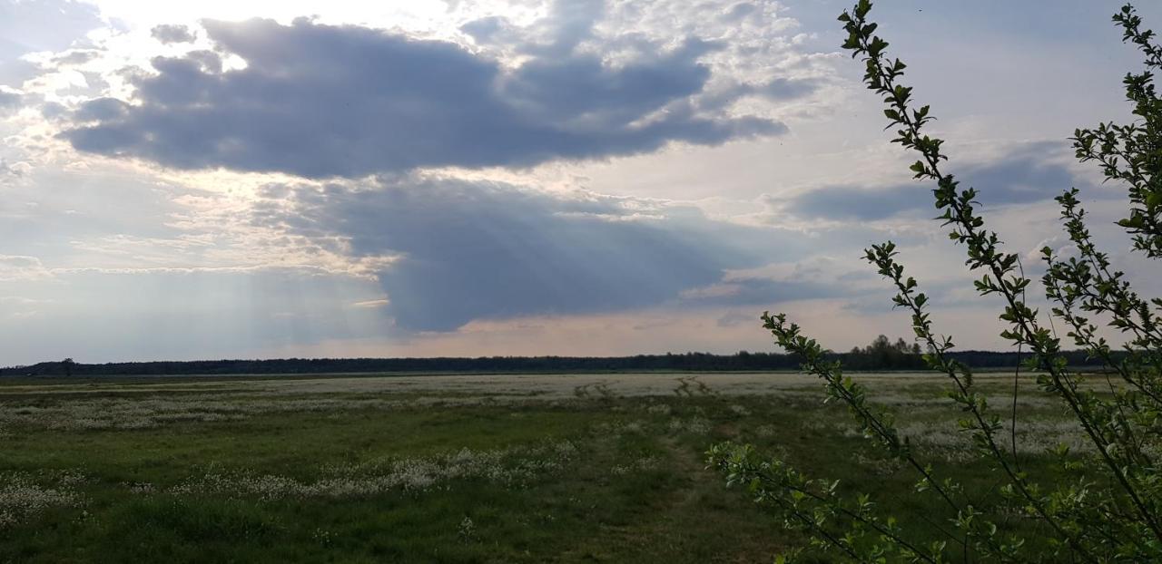 Zdalnie z Lasu - Siedlisko w Puszczy Białowieskiej Narewka Zewnętrze zdjęcie